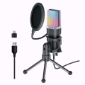 تصویر  میکروفون استودیویی یانمای مدل X1R RGB